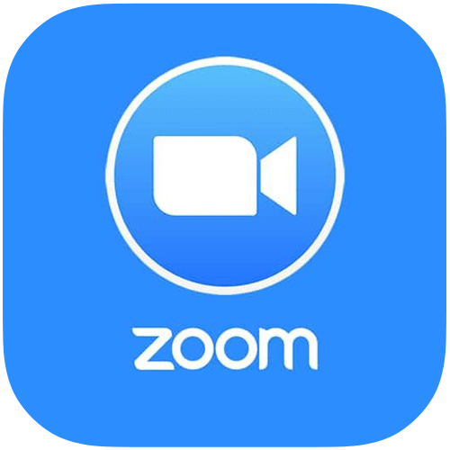 Zoom Logo